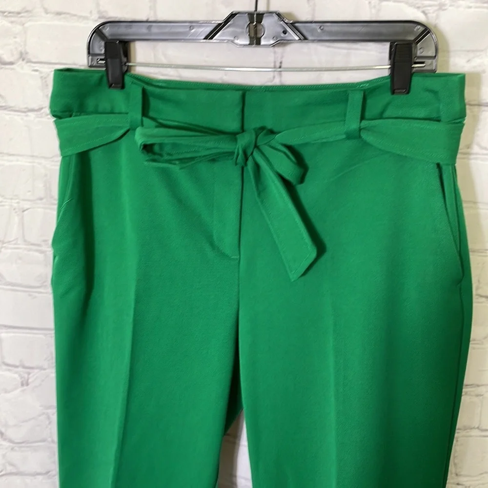 Loft sz 10 green ankle pants tie waist new with tags WP187_3